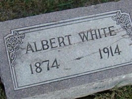 Albert White Albert White