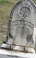 Alberto T. Finson