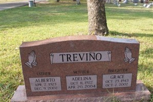 Alberto Trevino Alberto Trevino