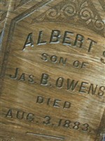 Alberts Owen
