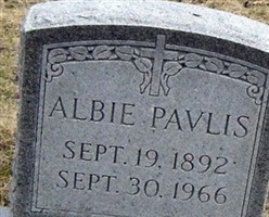 Albie Pavlis