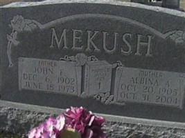 Albina A. Gerza Mekush