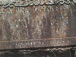 Albina Galnares
