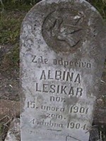 Albina Lesikar Albina Lesikar