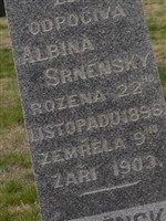 Albina Srnensky Albina Srnensky