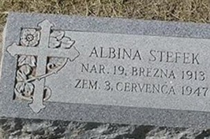 Albina Stefek