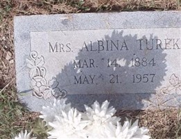 Albina Turek