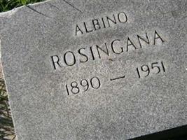 Albino Rosingana (2040164.jpg)