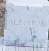 Albion W Tucker