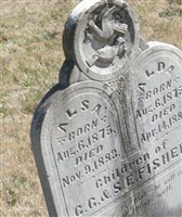 Alda Fisher