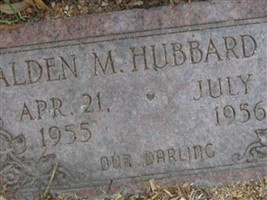 Alden M. Hubbard, Jr Alden M. Hubbard, Jr