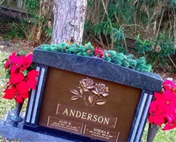 Alec B. Anderson Alec B. Anderson