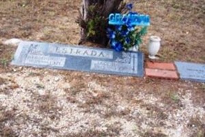 Alejandro Perez Estrada Alejandro Perez Estrada