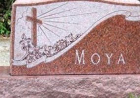 Alejo R Moya Alejo R Moya