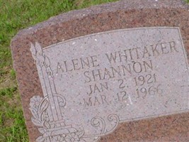 Alene Whitaker Shannon