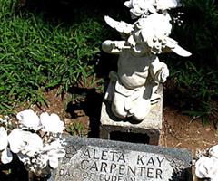 Aleta Kay Carpenter