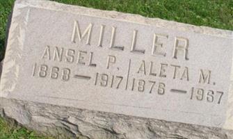 Aleta M Miller