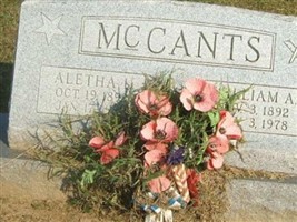 Aletha L McCants