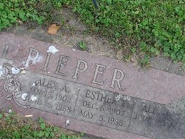Alex A Pieper