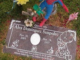 Alex Dominguez Sampedro Alex Dominguez Sampedro