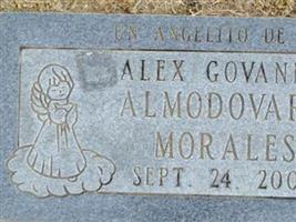 Alex Govannie Almodovar-Morales