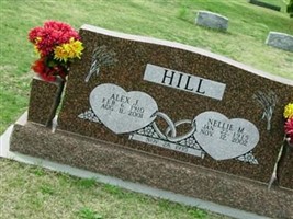 Alex J. Hill