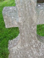 Alex Jos Fitzpatrick