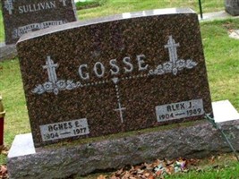 Alex Joseph Gosse Alex Joseph Gosse