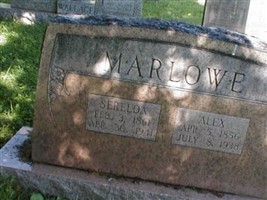 Alex Marlowe