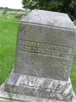Alexander Adams Alexander Adams
