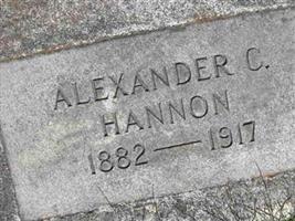 Alexander C Hannon