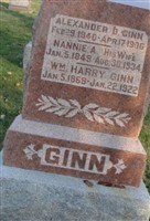 Alexander D Ginn