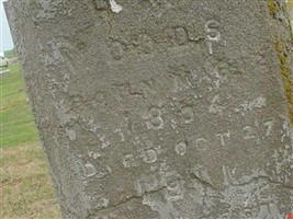 Alexander Hamilton "Han" Woods