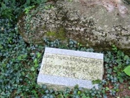 Alexander J Torelli Alexander J Torelli