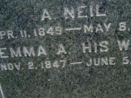Alexander Neil