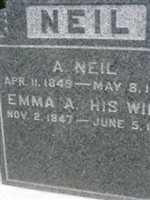 Alexander Neil