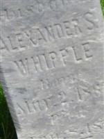 Alexander S Whipple