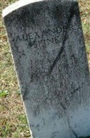 Alexander Spink