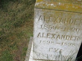 Alexander Whiteside