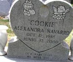 Alexandra Navarro Alexandra Navarro