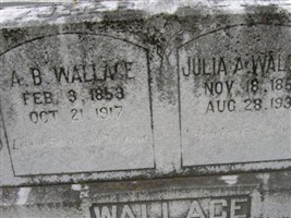 Alexey B. Wallace Alexey B. Wallace