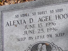 Alexia D. Agee Hooks