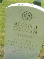 Alexis J Colman