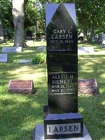 Alexis M Henkel Alexis M Henkel