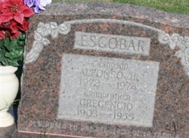Alfonso Escobar, Jr