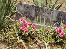 Alfonso L Gould