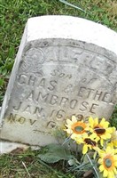 Alfred Ambrose