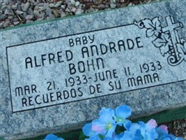 Alfred Andrade Bohn, Jr