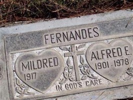 Alfred E Fernandes Alfred E Fernandes