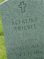 Alfred F Triebel